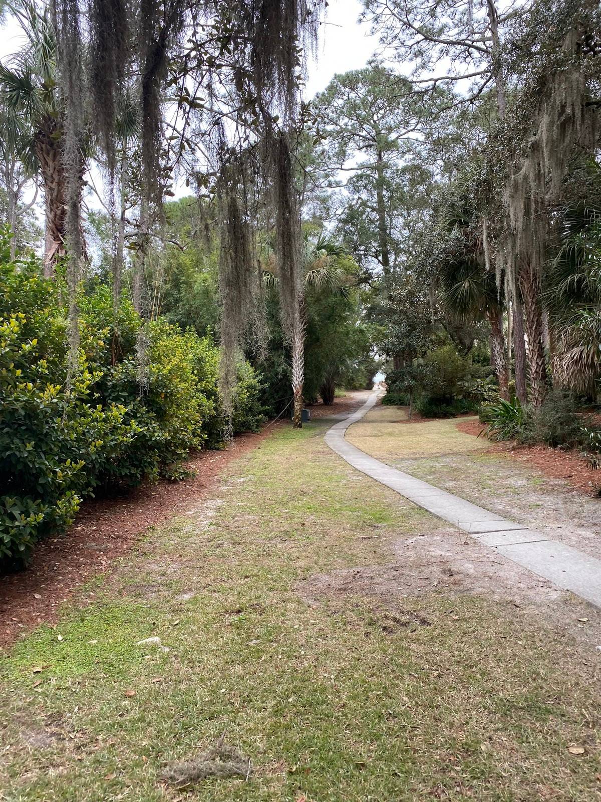Paved Pathway from Home to Beach. 3 Minute Walk!