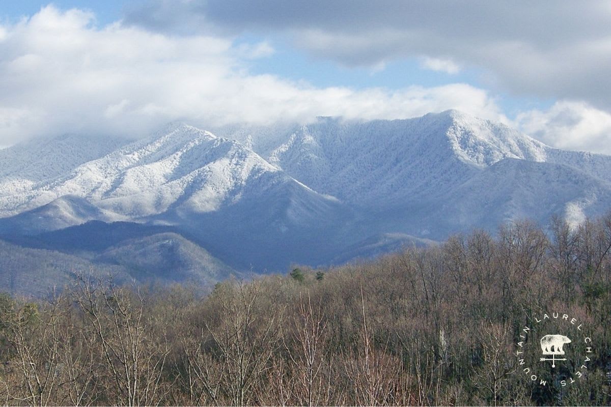 Gatlinburg Manor | Photo 54