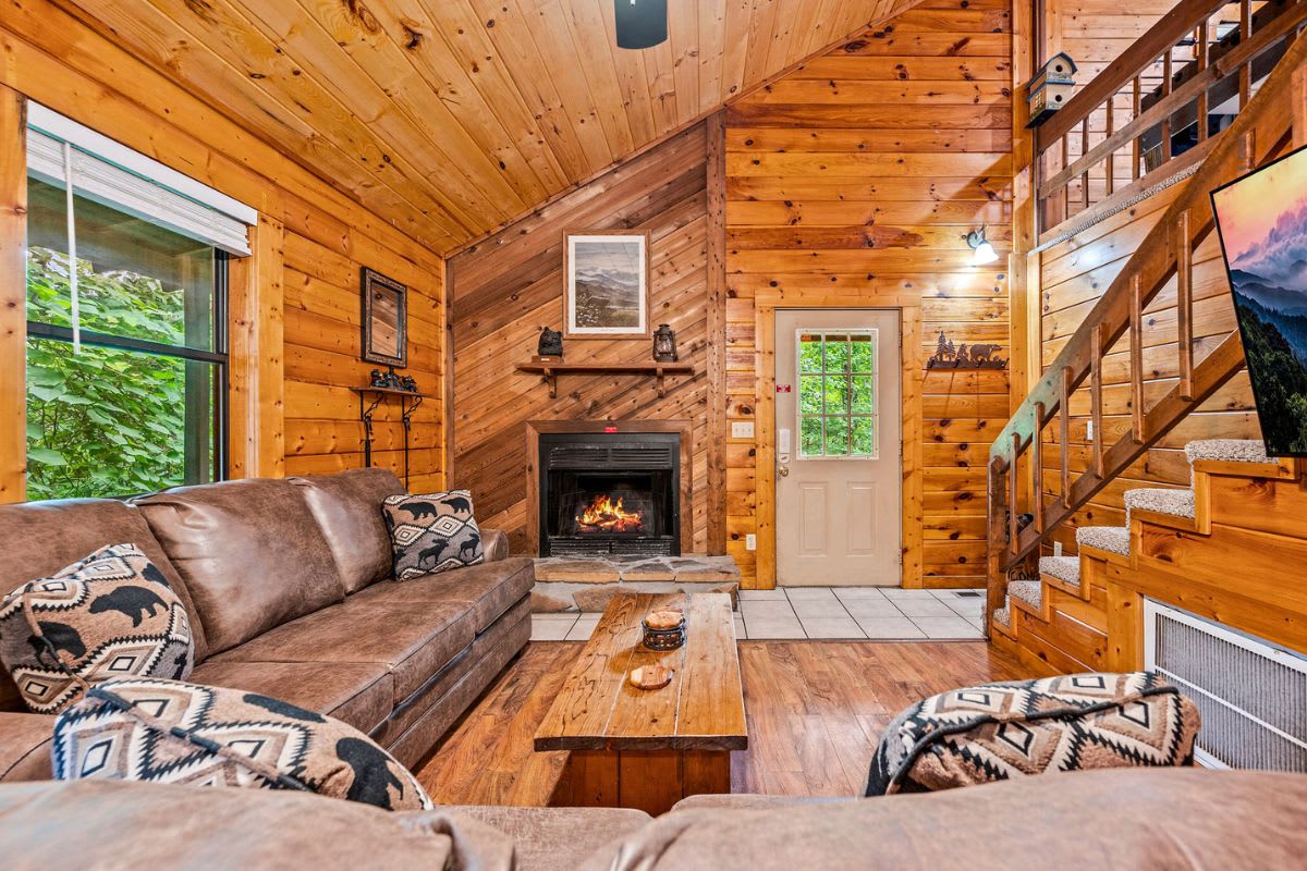 Featured Property Bearfootin Too