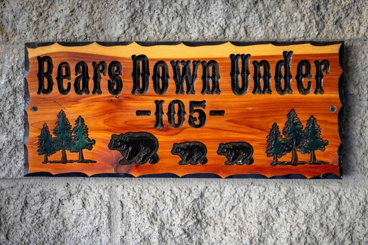 Bears Down Under 6