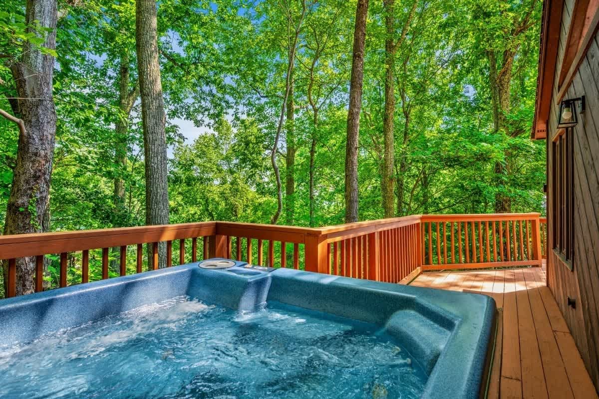 Bella Vista 2