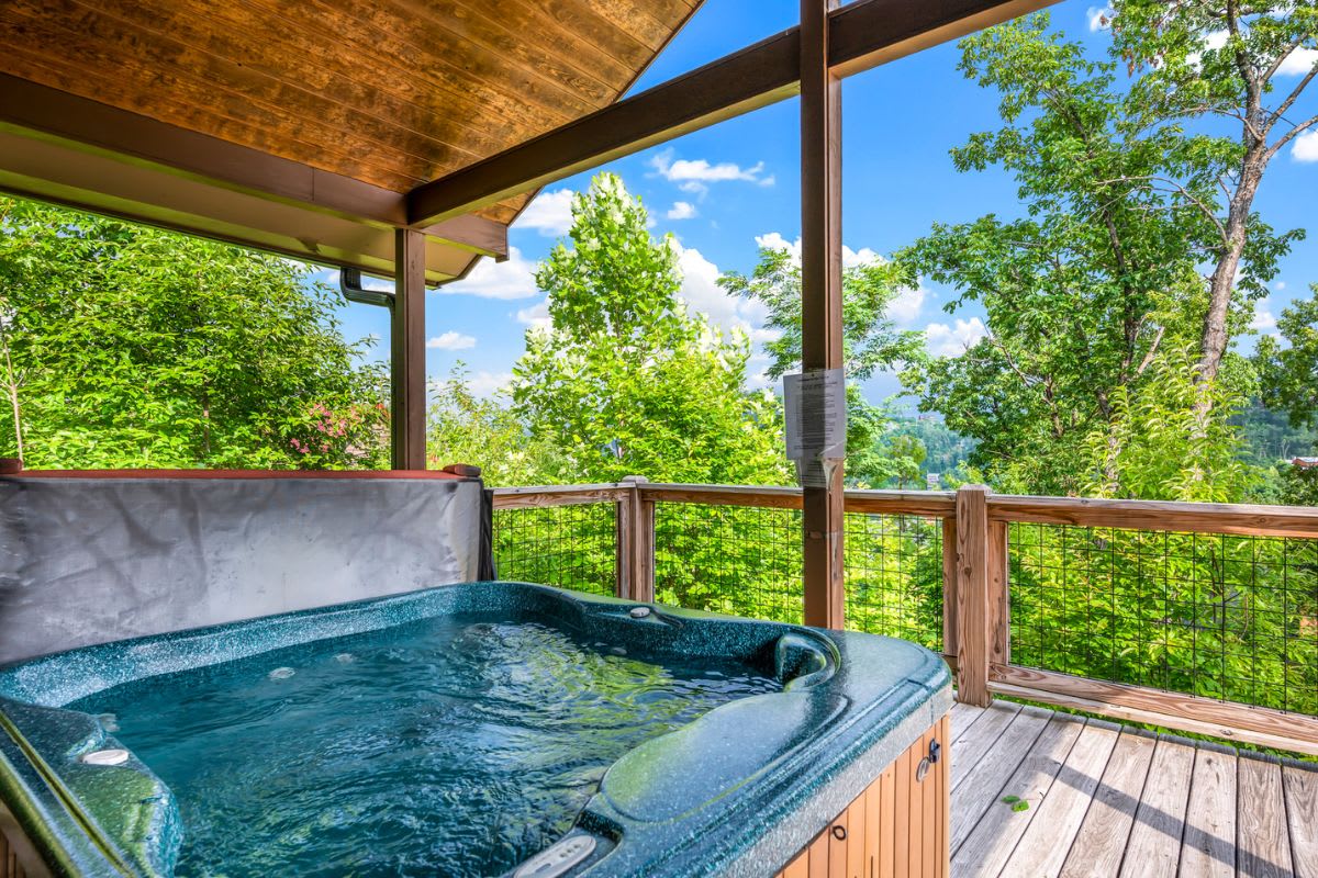 Featured Property Little Bear