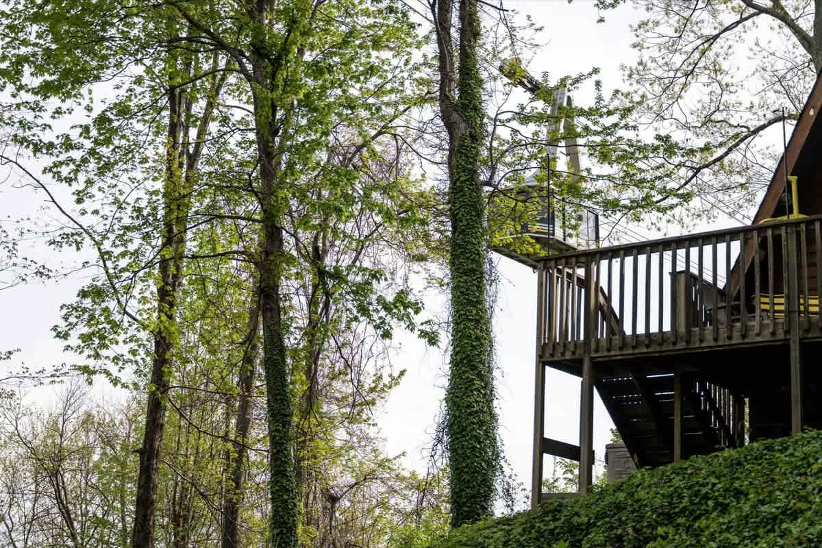 Four Ski-sons Chalet 10
