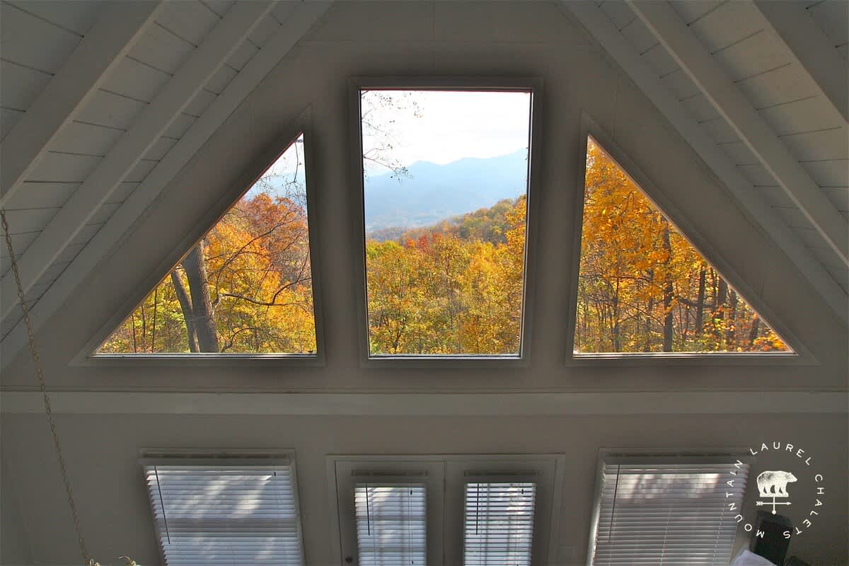 Viewcatcher 10