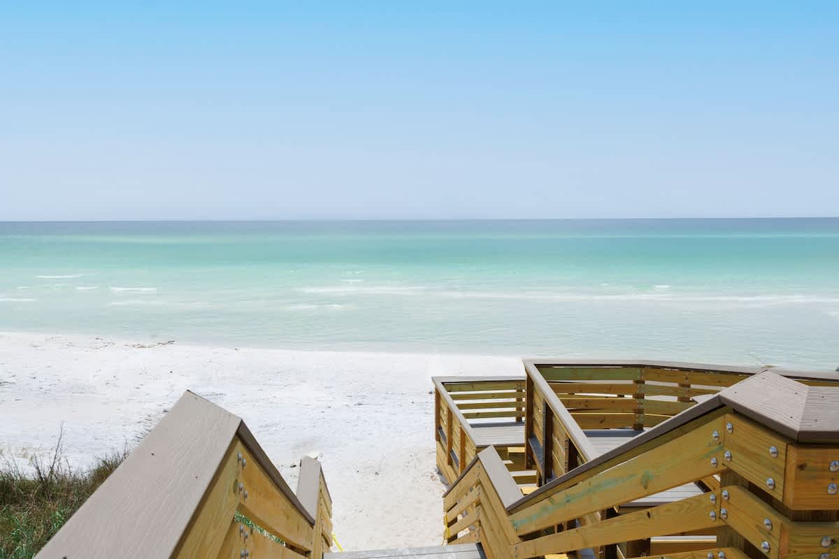 A Shore Bett