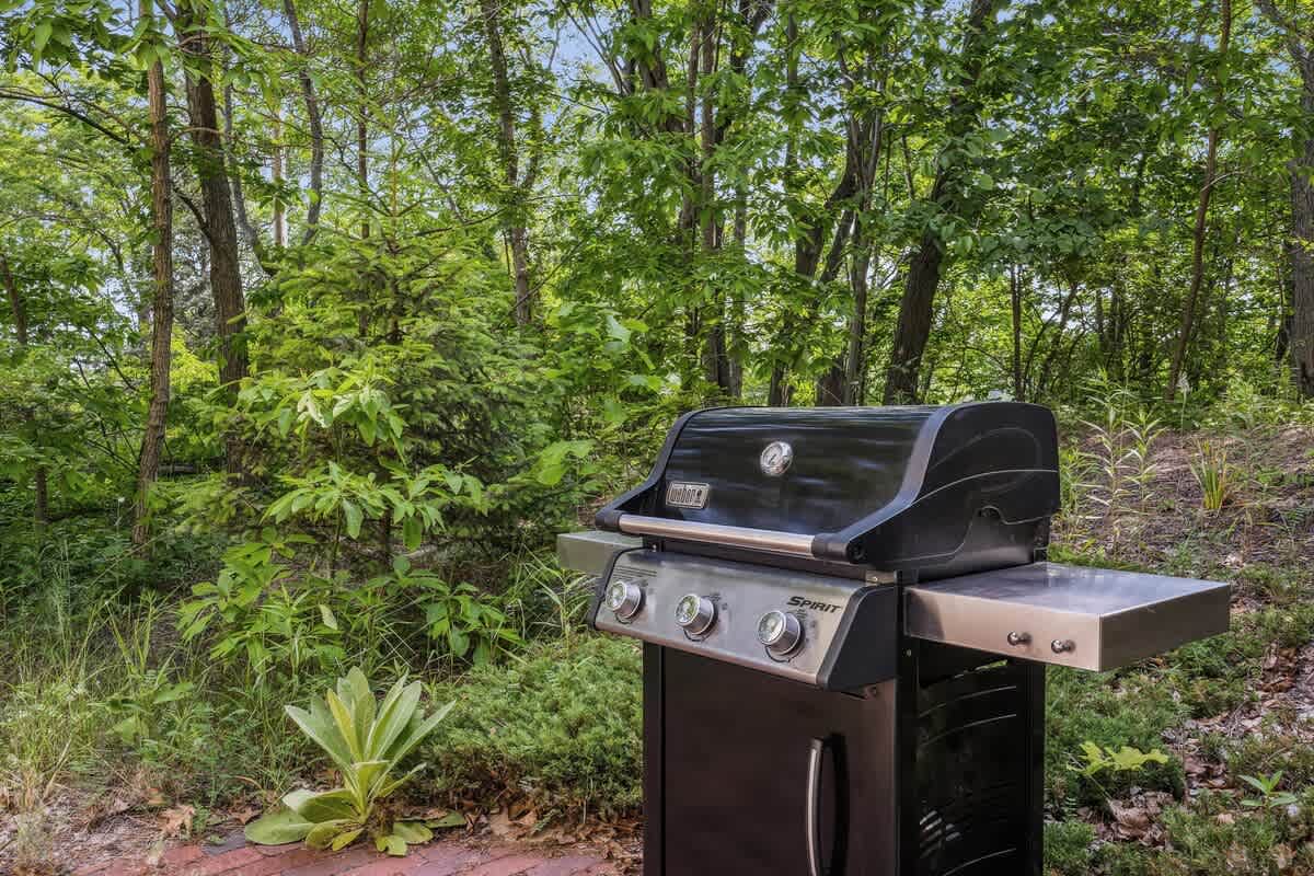 Woodland views, summer sizzles, and BBQ vibes.