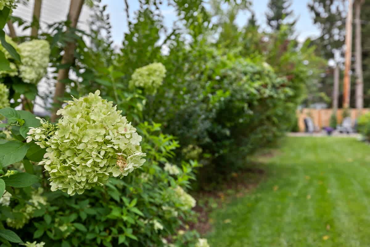 It's the little touches that make a yard beautiful.