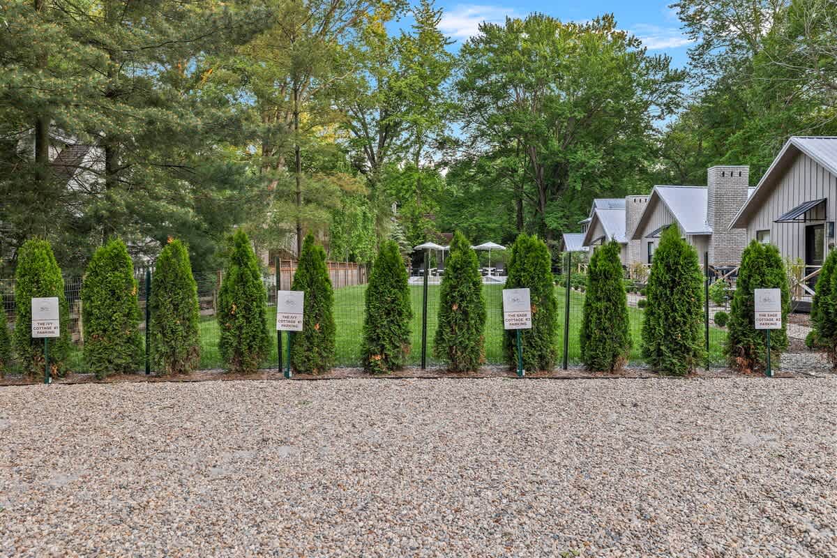 Winding through the trees and bushes.