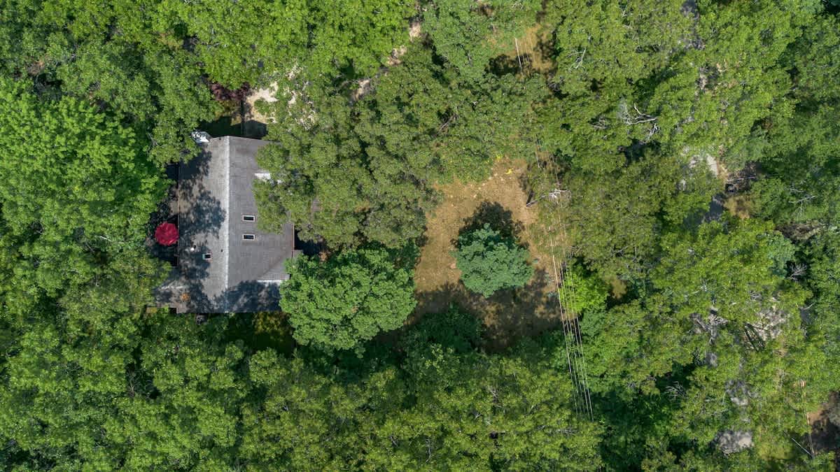 A hidden gem surrounded by a sea of green.