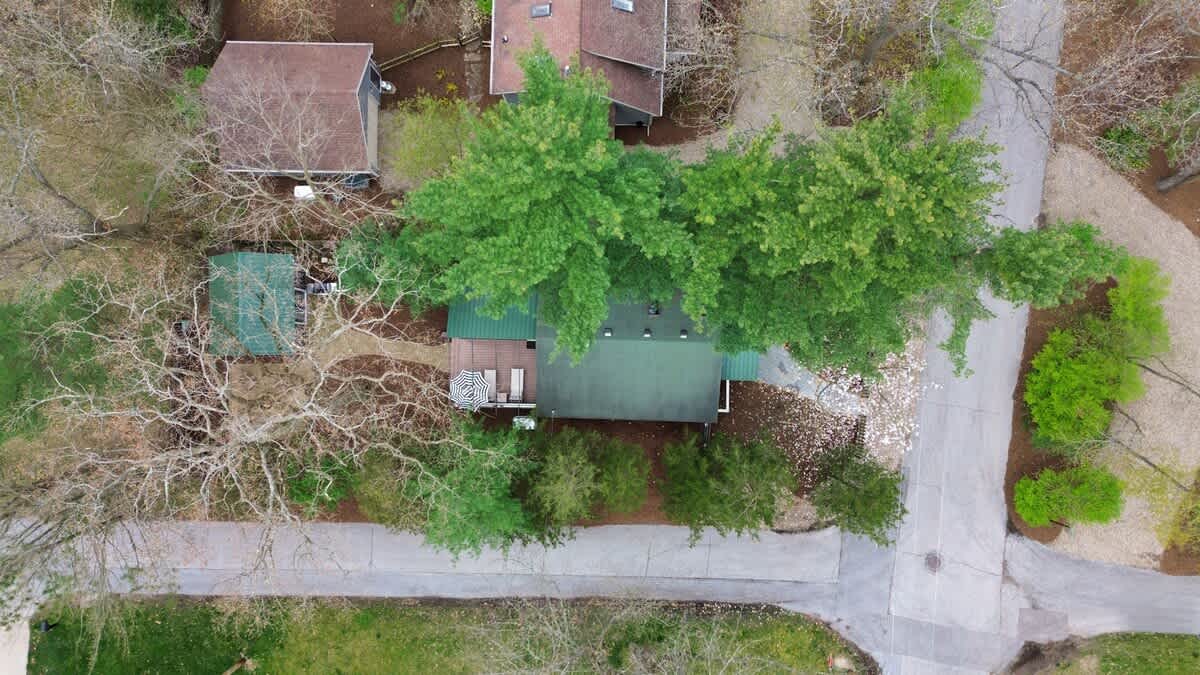 A bird's-eye view shows just how wonderfully surrounded by pine trees you'll be.