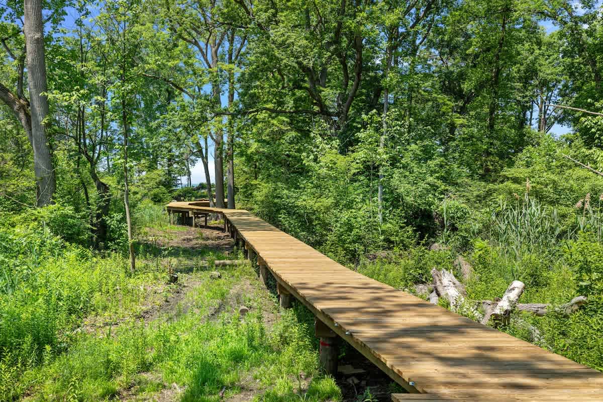 Where the whispers of the trees guide my steps..