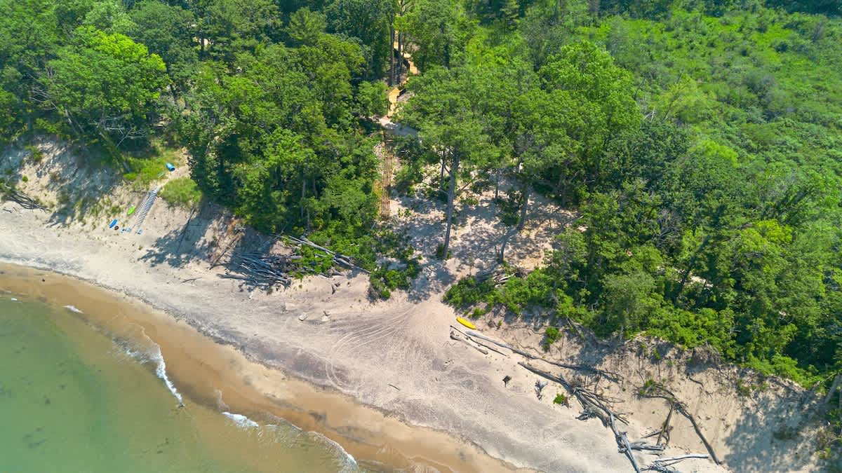 Beach vibes and forest dreams from up high.