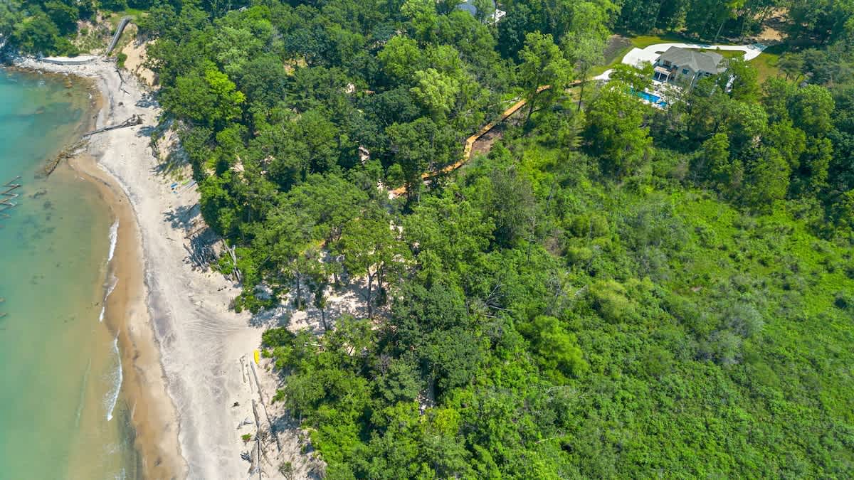 A perfect blend of sand, sea, and trees captured from the sky.