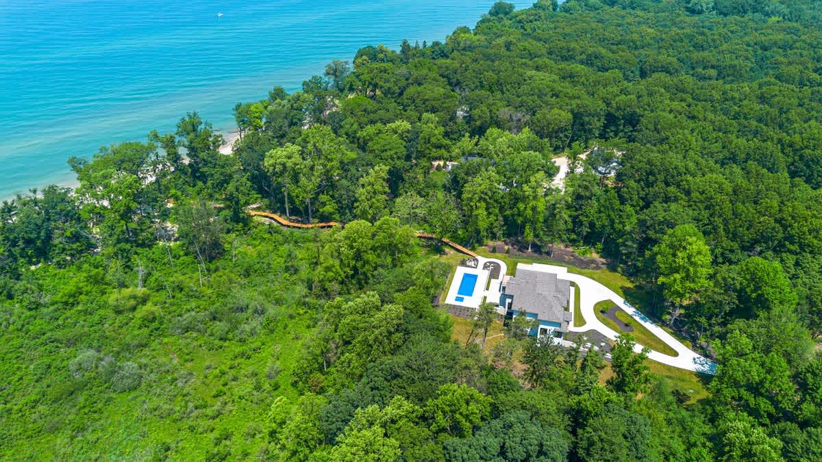 Hidden gem in the forest canopy.