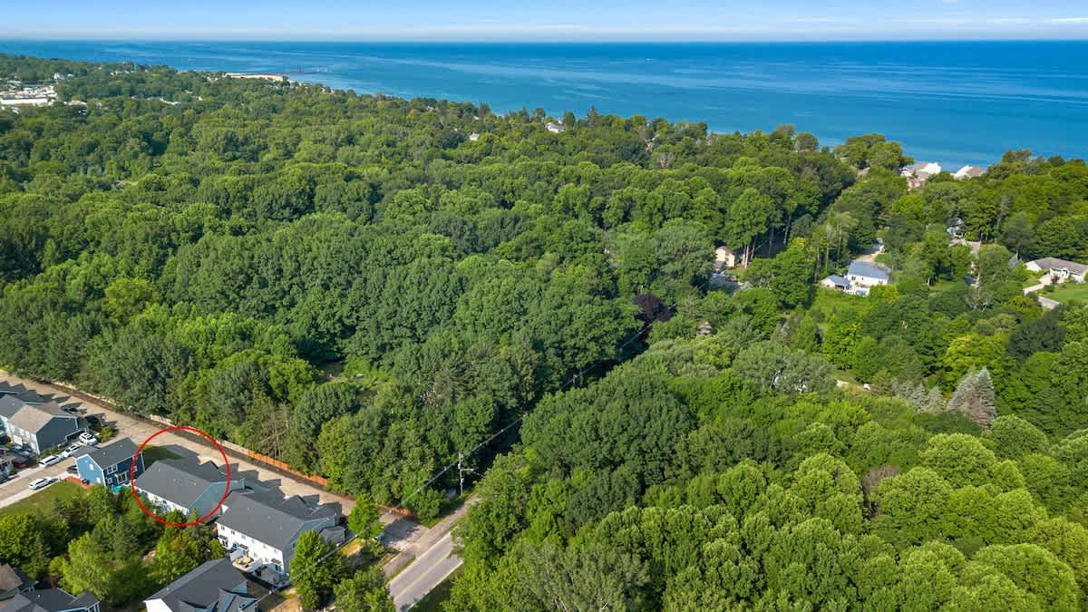 The best kind of neighbors: trees and sea breezes!