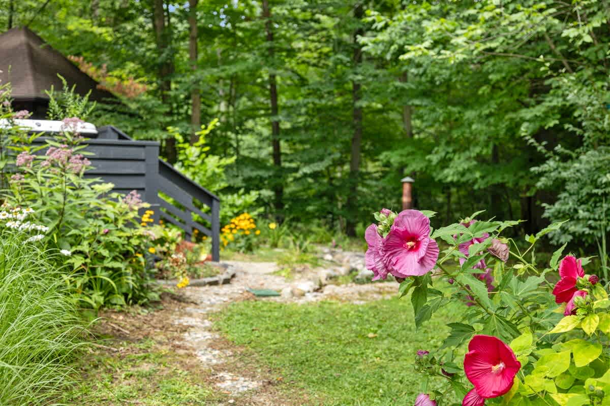 Nature's canvas painted with blooms and a touch of whimsy!