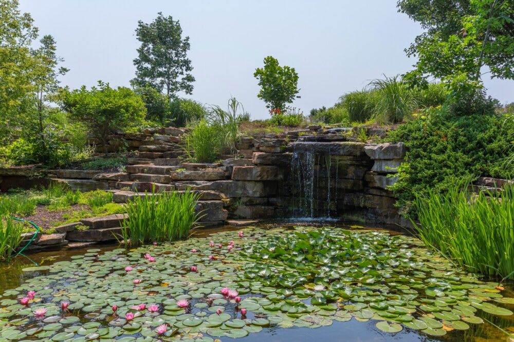 Is it just me, or does this pond whisper, 'Come, meditate here'?