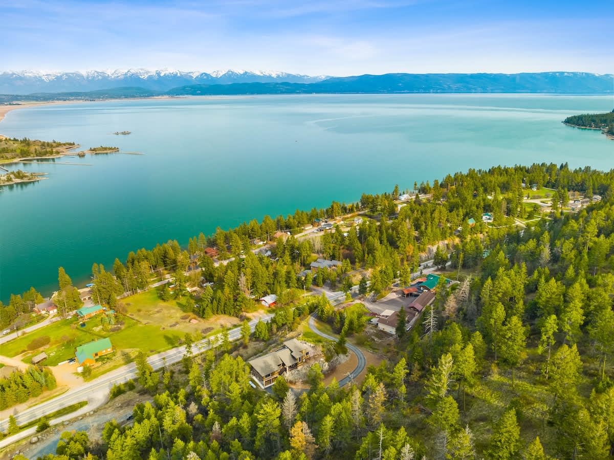 Lake views so dreamy, even the trees are jealous!