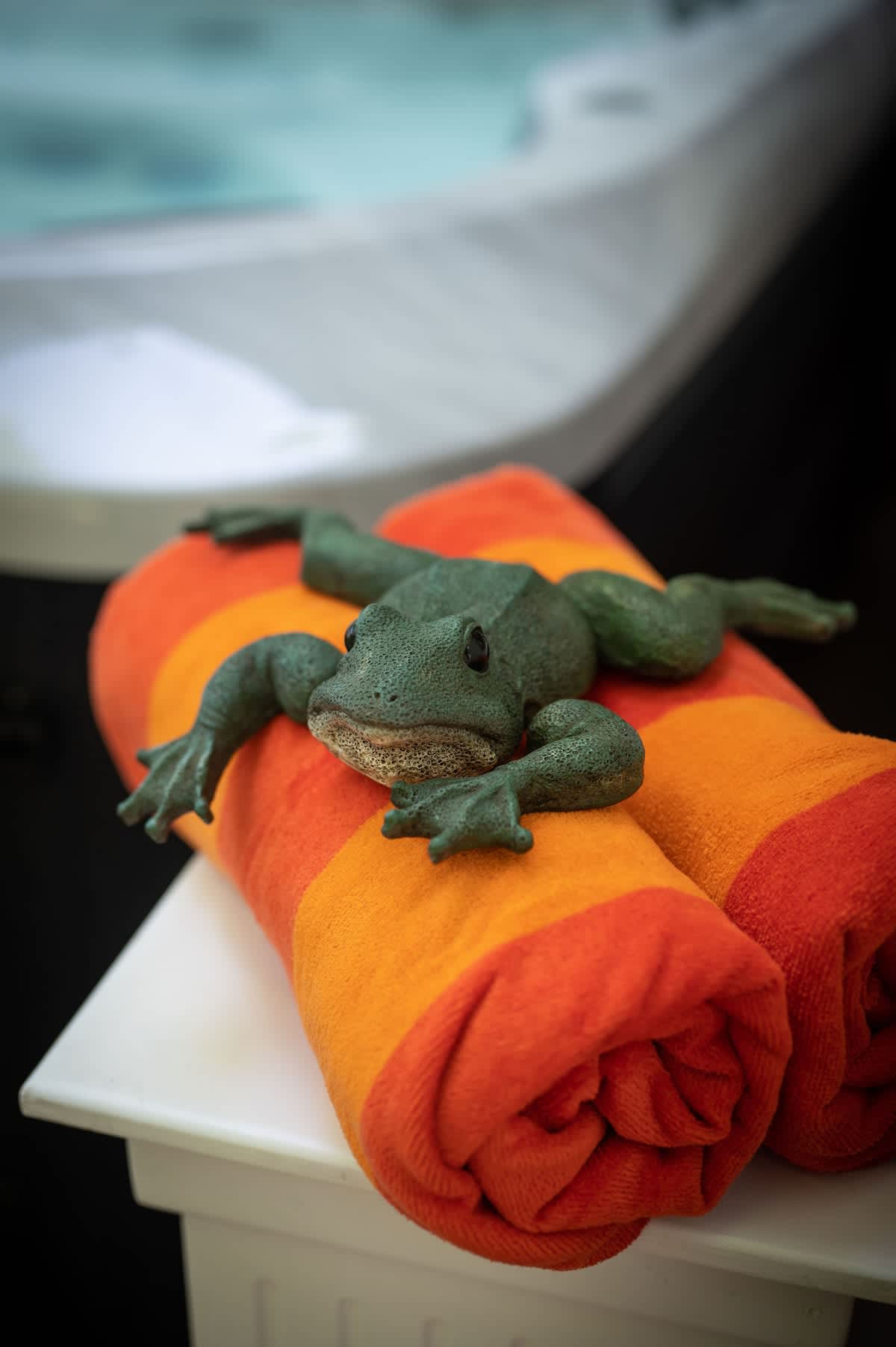 This guy’s guarding the towels. Bring wine.
