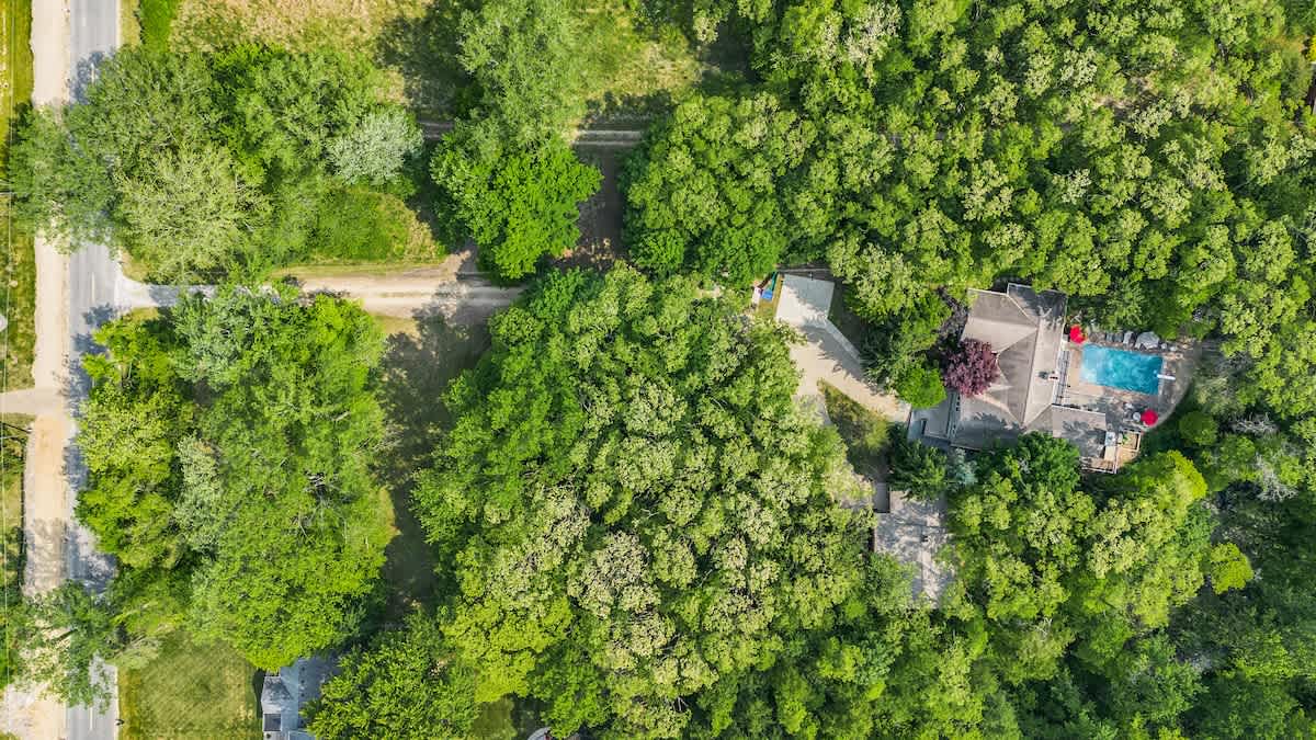 Tranquility tucked beneath the treetops. Your private forest canopy awaits!