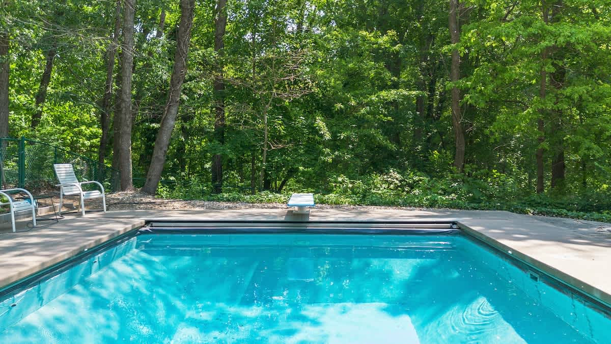 Dive into serenity—your private pool, framed by forest.