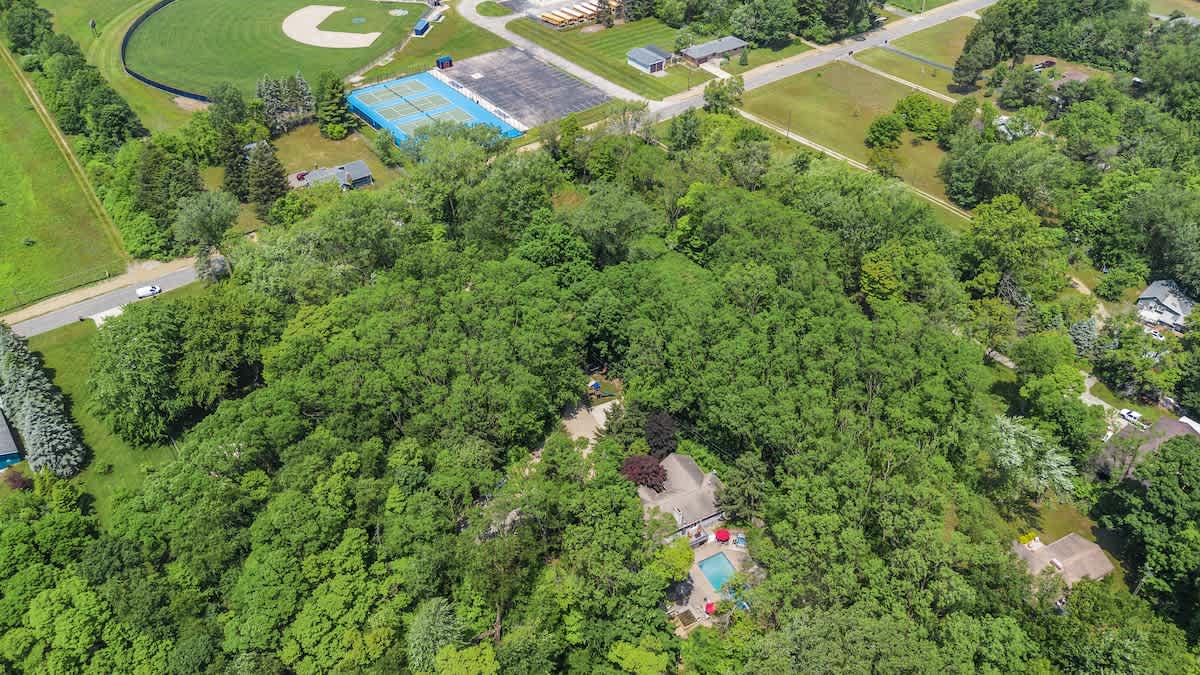 Tucked Among the Trees, Steps from Town & Trails.