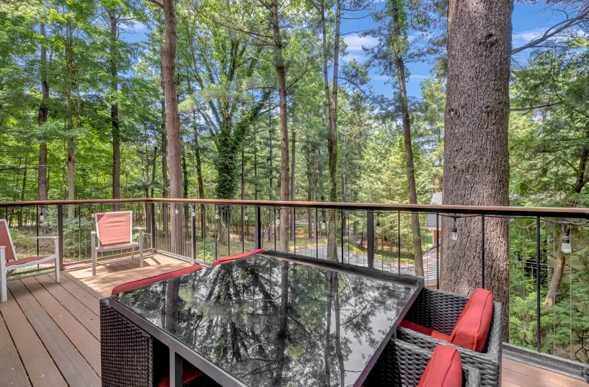 Elevated dining with nature as your backdrop.