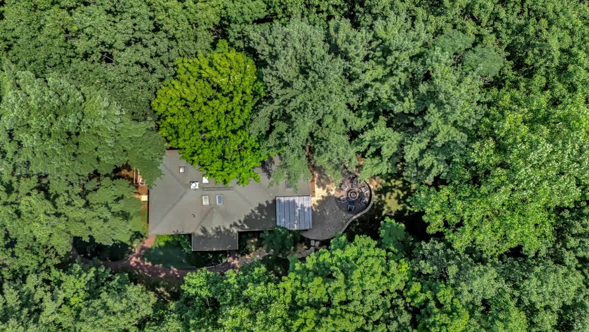 Treetop view of Wonderwood Cottage.