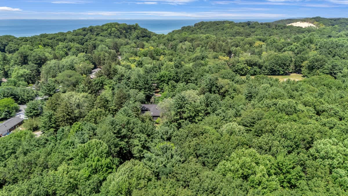Wonderwood Cottage tucked in trees, steps from lake and dunes.