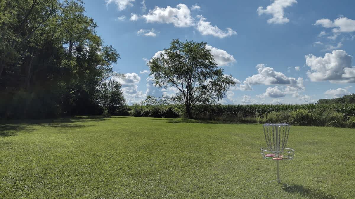 Field-to-forest disc golf moments at Berrywood Farm.