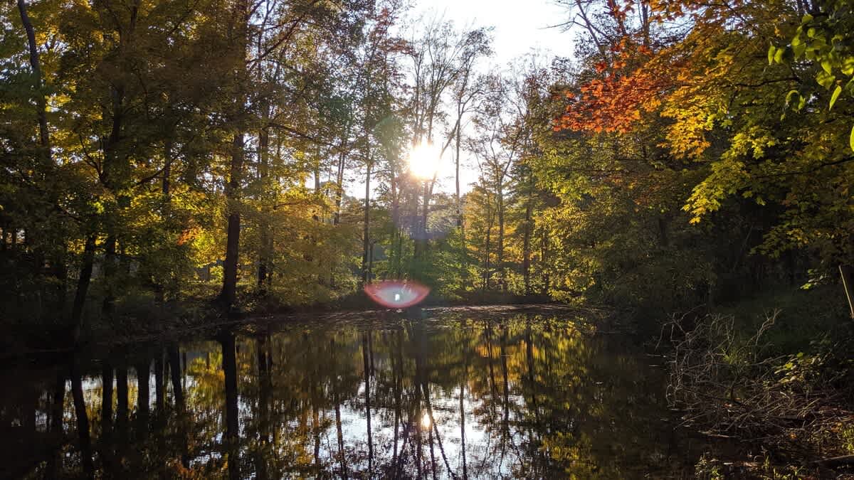 Relax by the still pond and wander Berrywood Farm’s peaceful forest paths