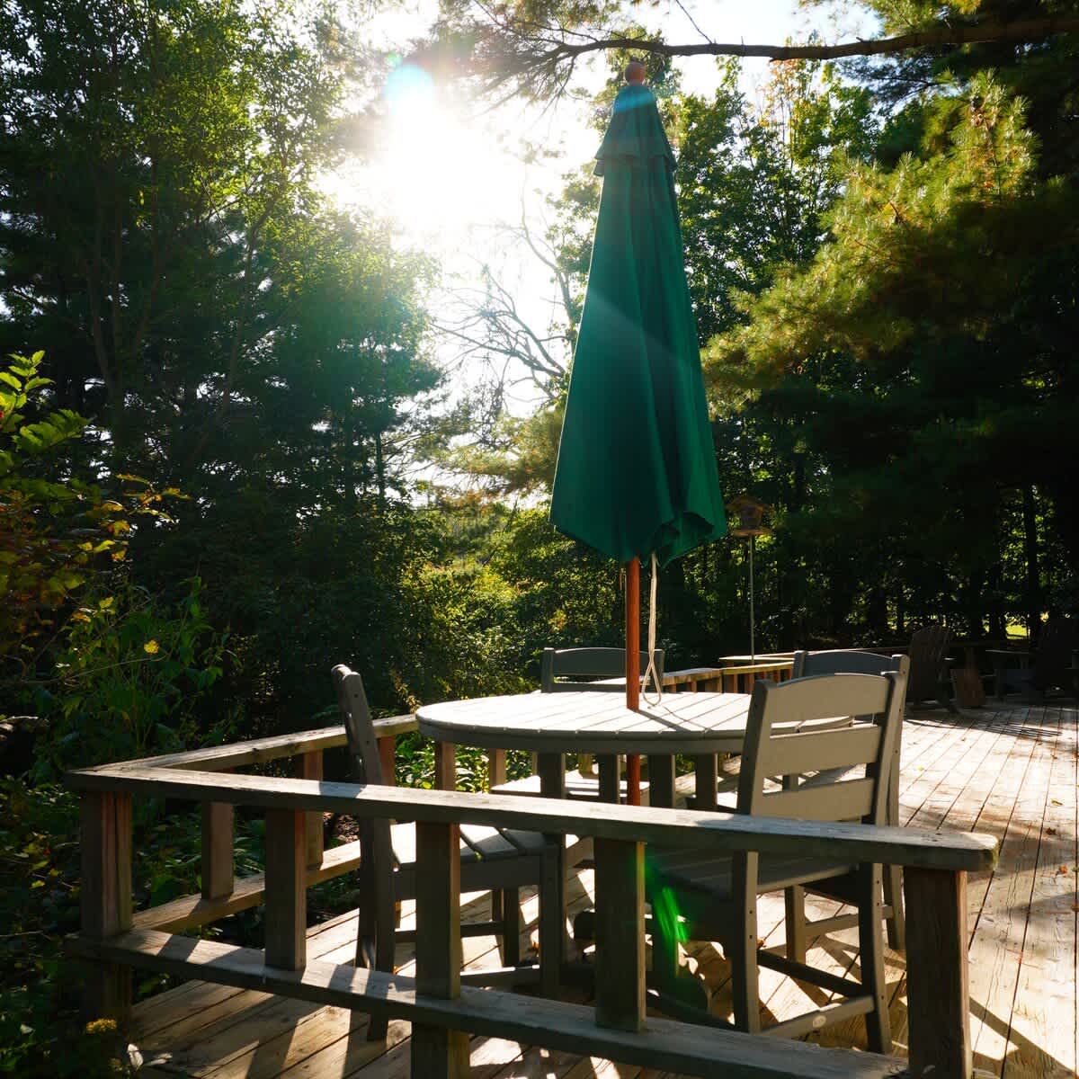Sunlit deck moments at The Cottage, perfect for slow mornings.
