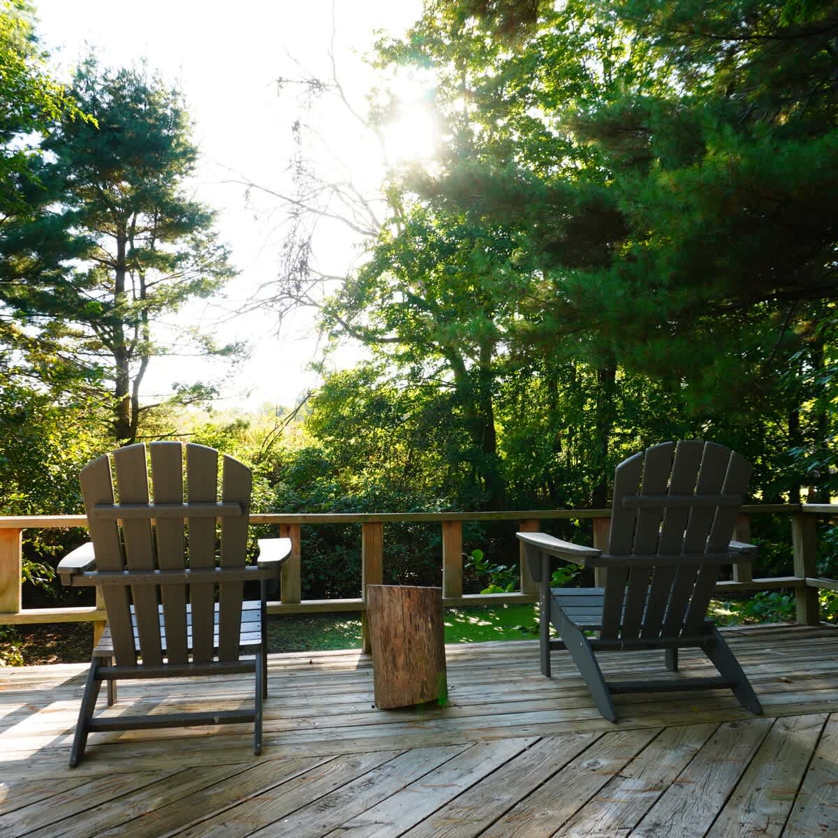 Peaceful forest views from The Cottage relaxing deck chairs.