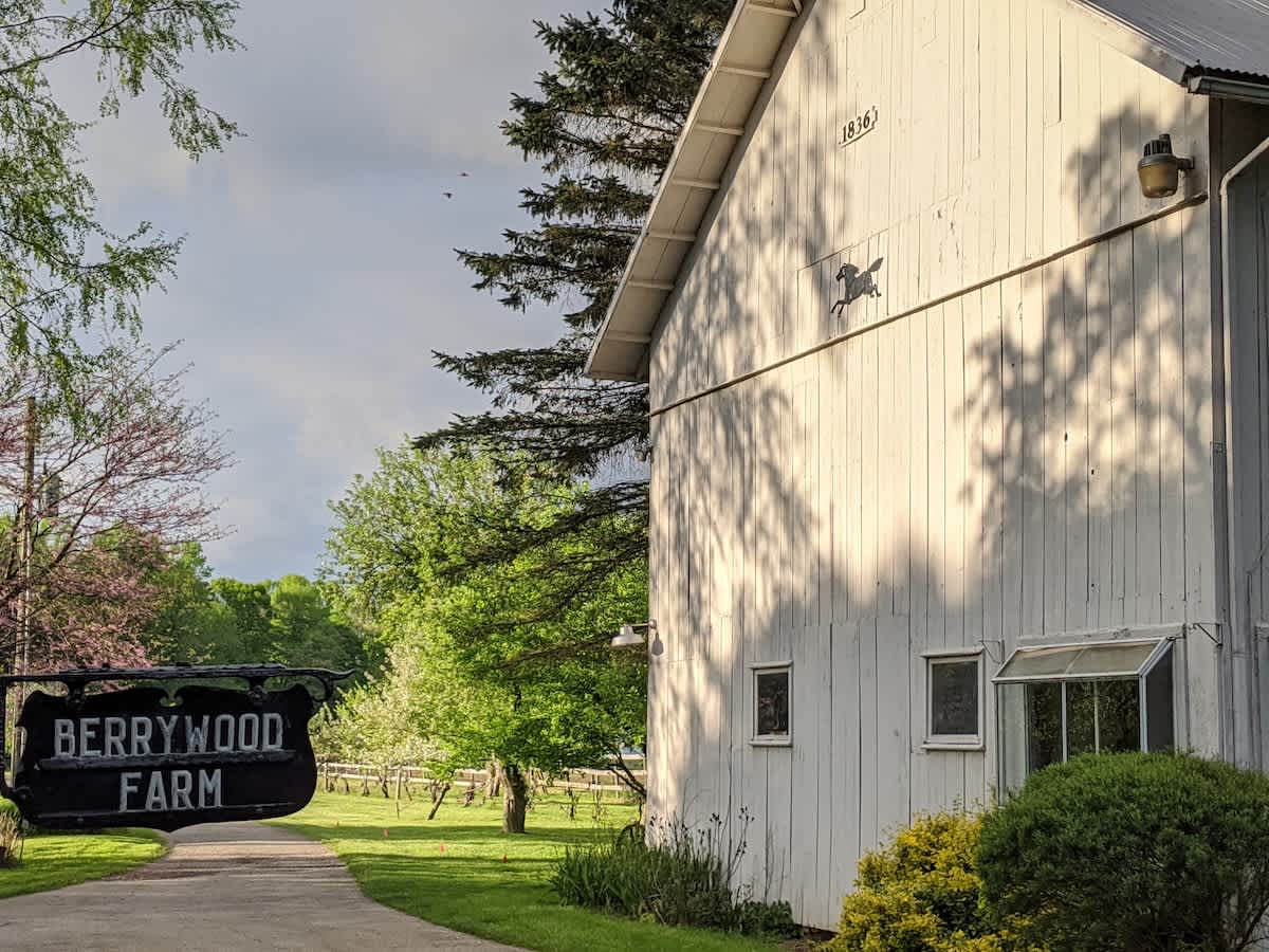 Begin your Berrywood Farm stay with a scenic stroll down the orchard drive.