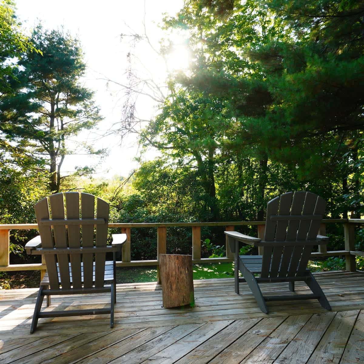 Peaceful forest views from The Cottage’s relaxing deck chairs.