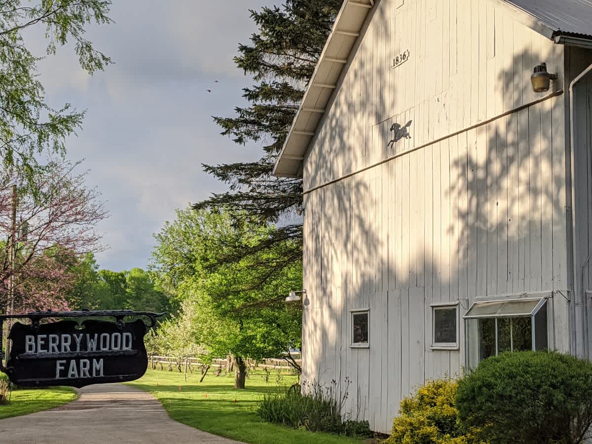 Begin your Berrywood Farm stay with a scenic stroll down the orchard drive.