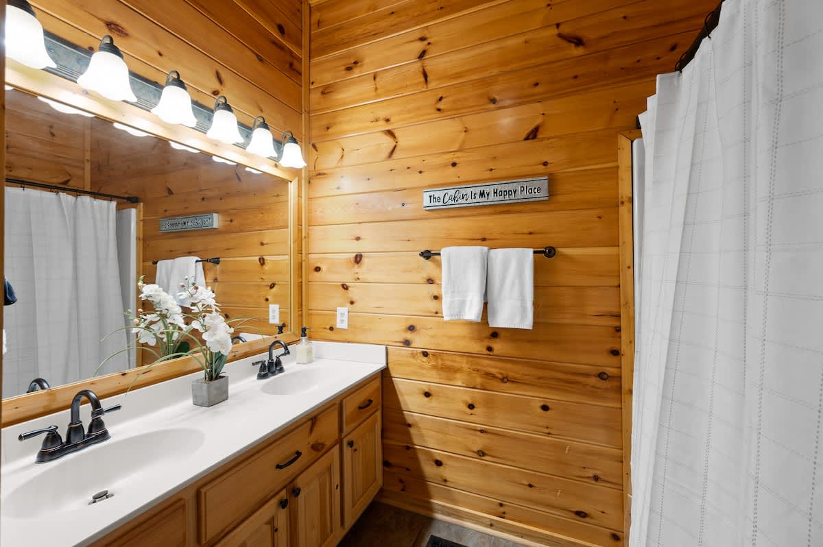 Lower level bathroom