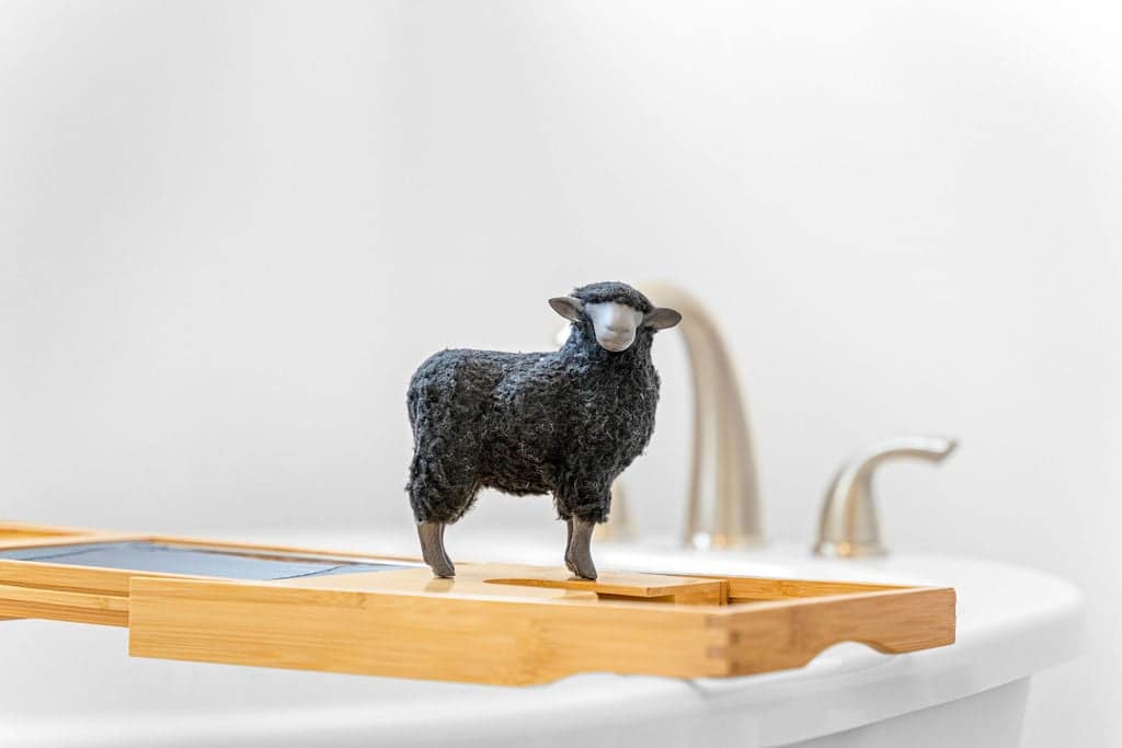 ...sometimes I hang out near the bath tub in the Primary Bathroom for some R&R...