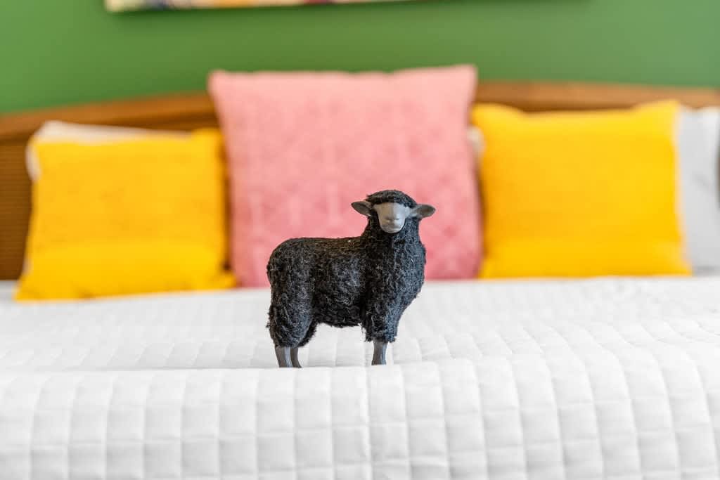 ...sometimes I hang out in the Jr. Primary bedroom!...