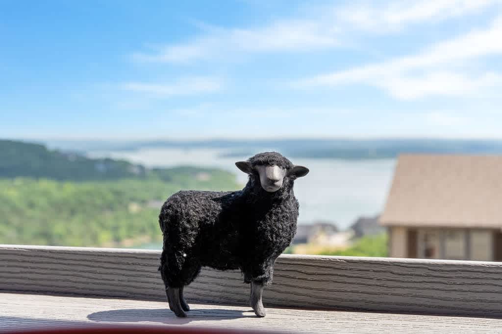 Hi, I'm Earl the black sheep!  I own this here lodge and I'm excited to host you.  Sometimes I hang out on the deck!  LOOK AT THAT GORGEOUS LAKE VIEW!
