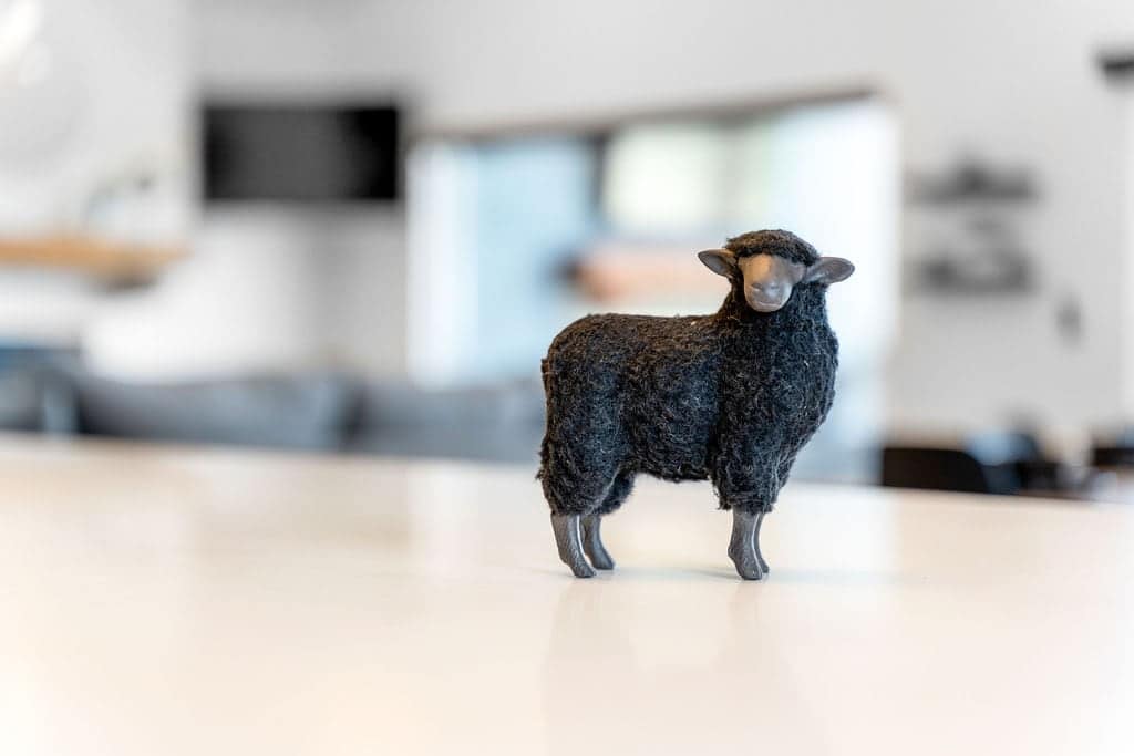 ...sometimes I hang out in the Kitchen to see what's cookin'...