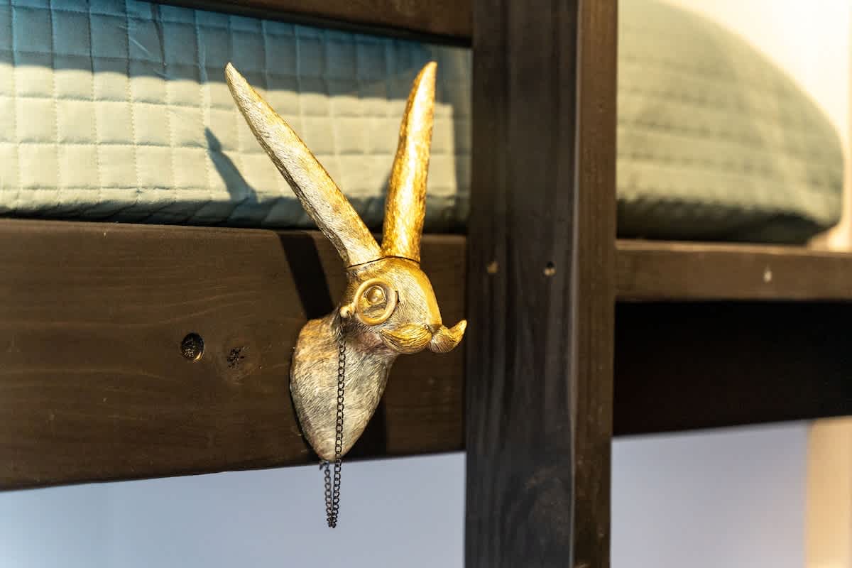 Fun animals on each bunkbed 