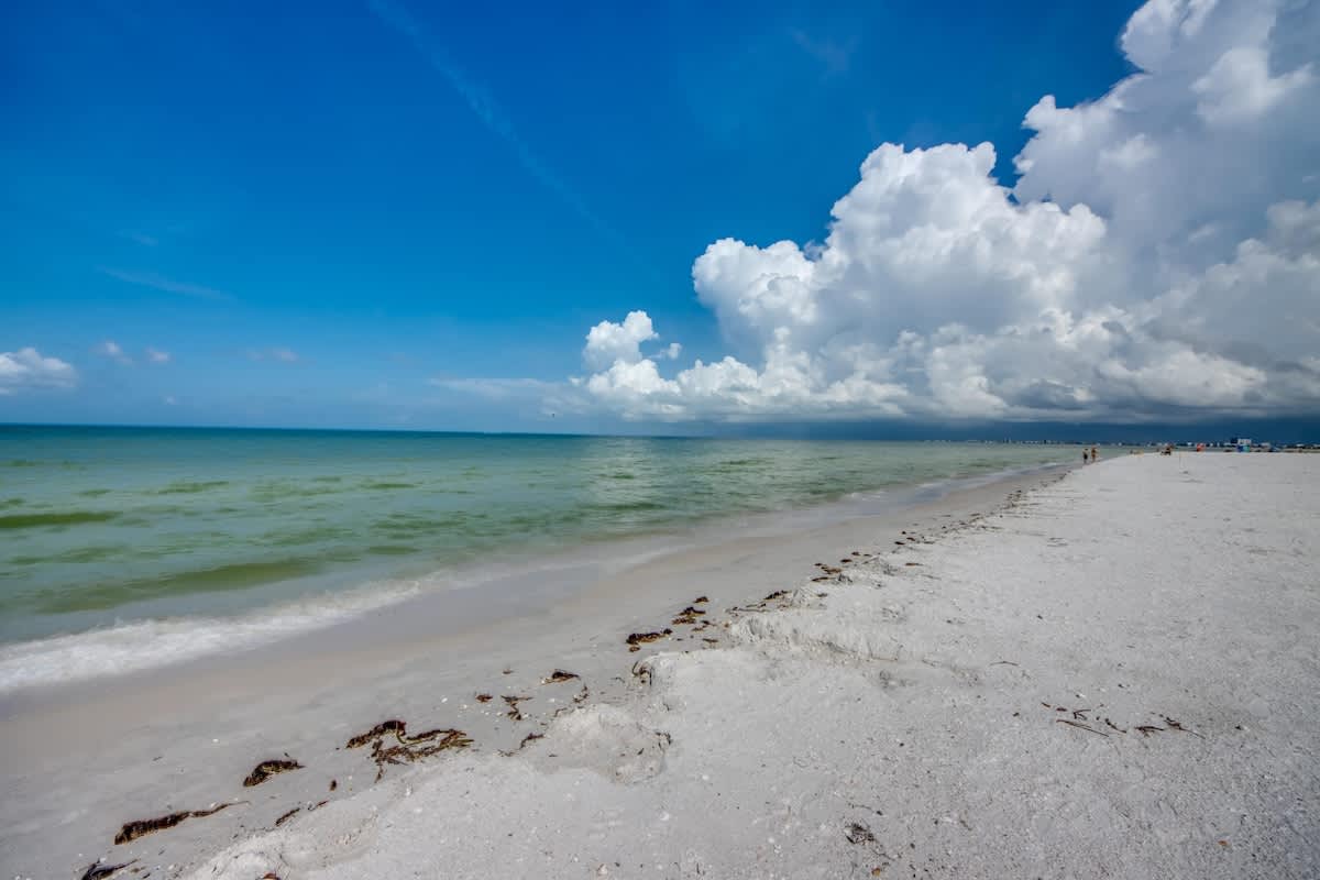 Leonardo Arms #419 Island Beachfront Condo 5