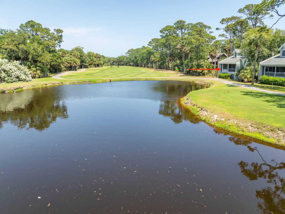Pond View From Back of Home