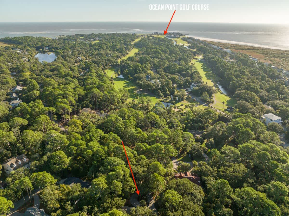 723 Marlin Drive | Photo 9