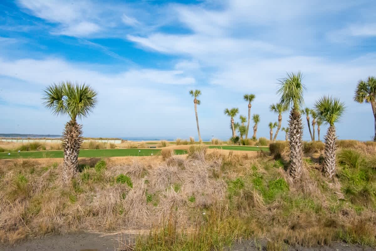 Amazing Golf Course Views