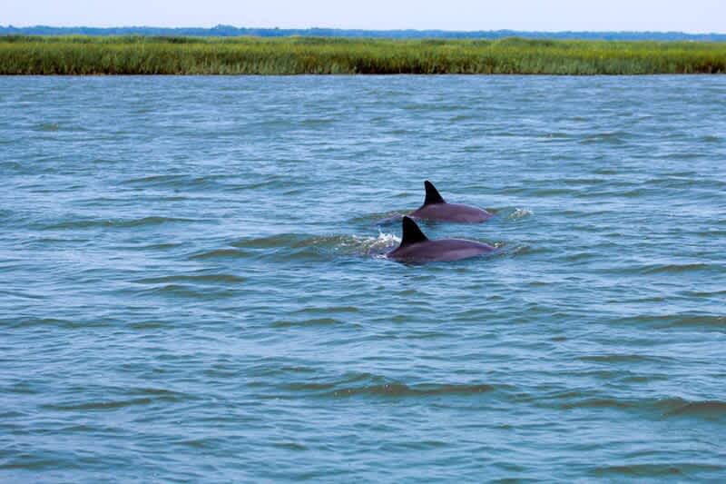 769 Marlin Drive | Photo 39