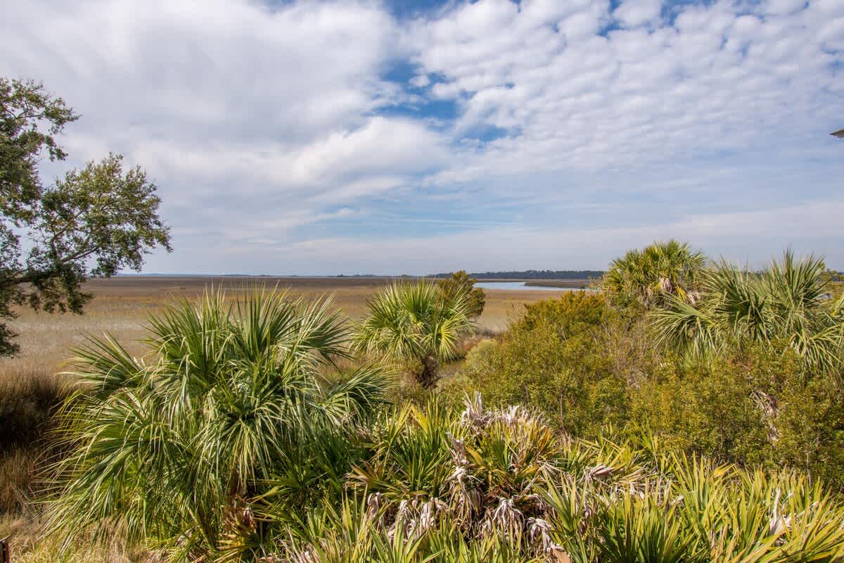 862 Bonito Road | Photo 5