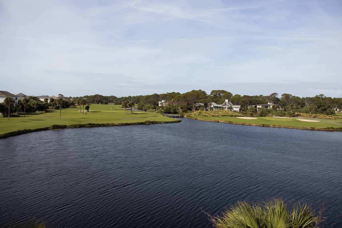 Views from rooftop deck
