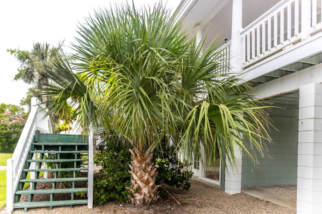 Staircase to Front Door